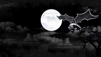 Такую красоту мужику еще не приходилось видеть