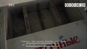 Вернется в лес