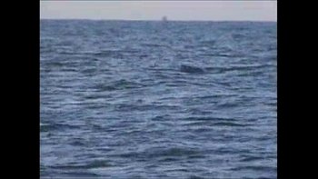 На каждом углу можно купит журналы с откровенными фото и комиксы